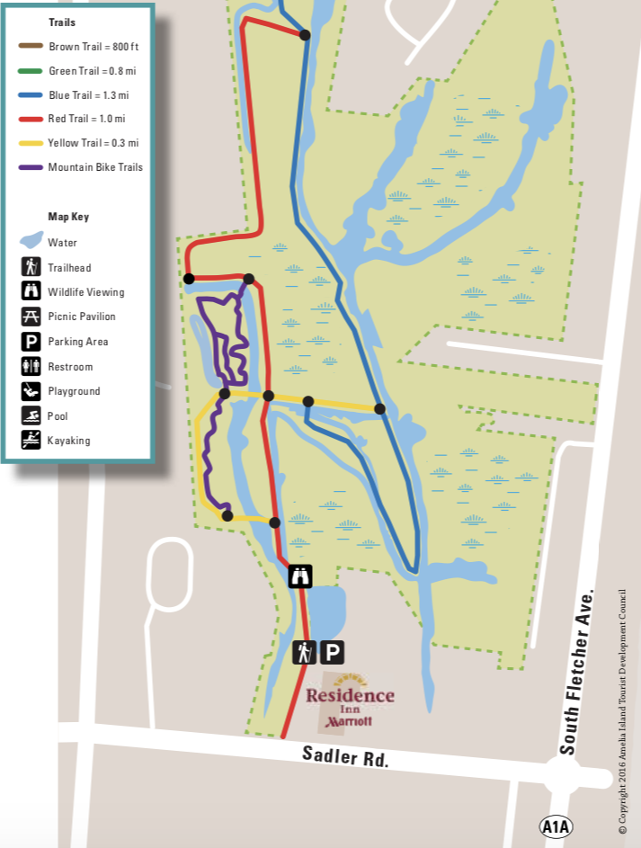 Explore Egans Creek Greenway in Fernandina Beach